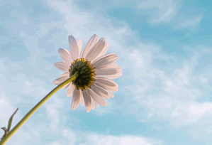 蜂鸟影院读写工具：围绕把热度机制写成流程做我用段落分层法讲